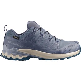 Salomon XA Pro 3D v9 GTX Dame EU 37â Grisaille/Tradewinds/Spellbound Trekking- & vandresko